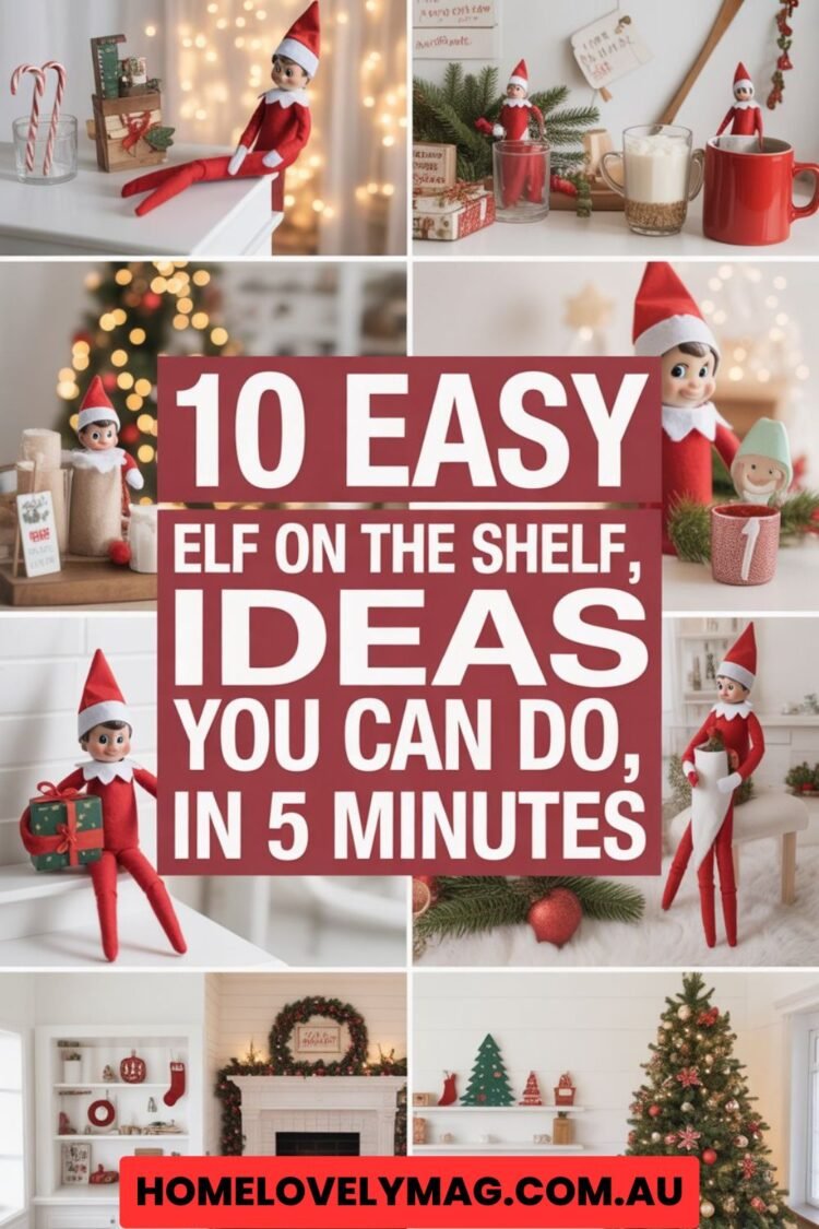 elf on the shelves