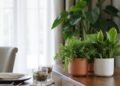 stylish planters elevate dining aesthetic