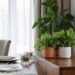 stylish planters elevate dining aesthetic