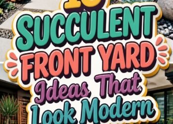 16 SUCCULENT FRONT YARD Ideas That Look Modern!