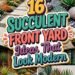 16 SUCCULENT FRONT YARD Ideas That Look Modern!