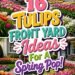 16 TULIPS FRONT YARD Ideas For A Spring Pop!