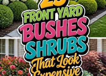 23 FRONT YARD BUSHES SHRUBS That Look Expensive!