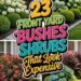 23 FRONT YARD BUSHES SHRUBS That Look Expensive!