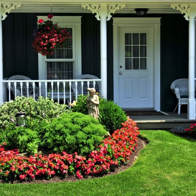 Front yard category feature image