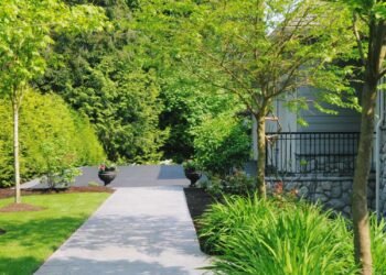 Where to Save Money on a Landscape Renovation
