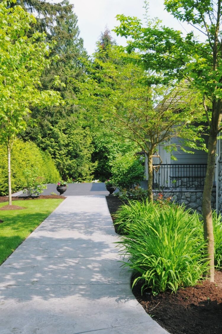 Where to Save Money on a Landscape Renovation