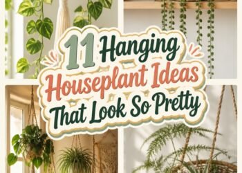 beautiful hanging houseplants ideas