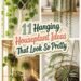 beautiful hanging houseplants ideas