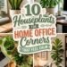 calming houseplants for workspace