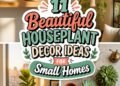 charming plants for small spaces