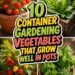 container friendly vegetable options