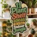 cozy indoor plant display