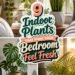 fresh indoor plants for bedrooms