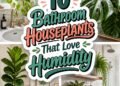 humidity loving bathroom plants