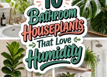 humidity loving bathroom plants