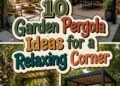 serene outdoor garden retreats