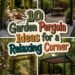 serene outdoor garden retreats