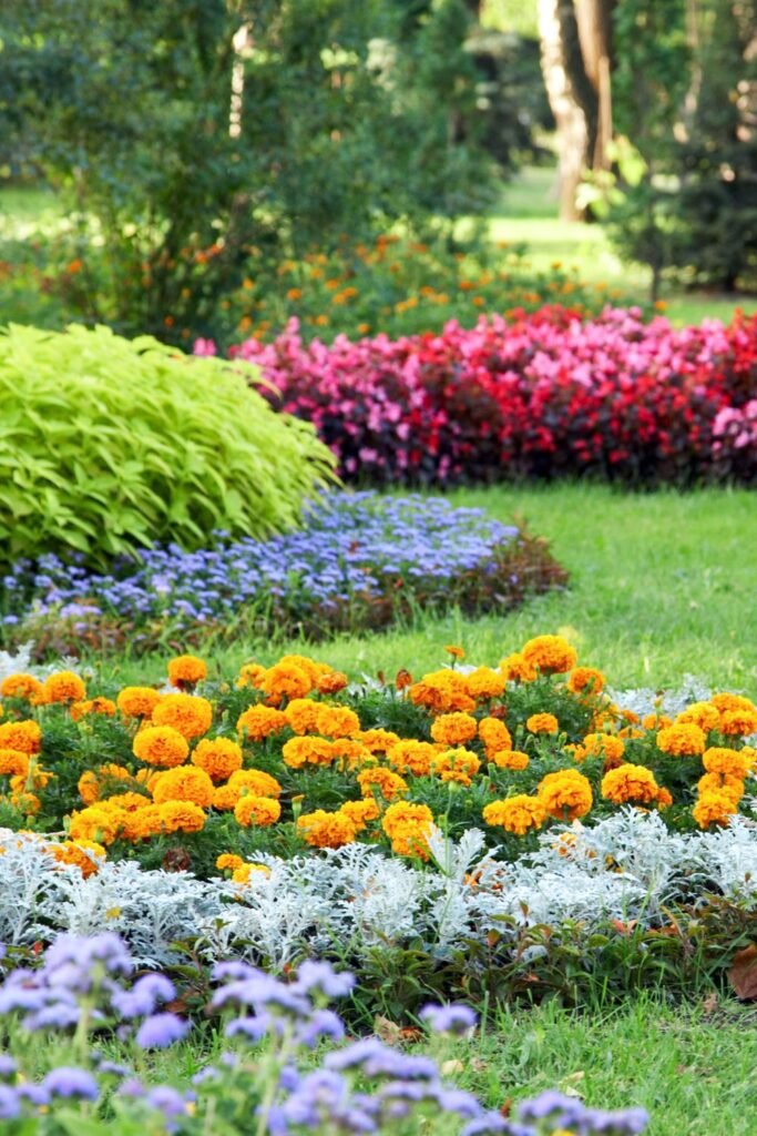 smaller Plants for landscaping