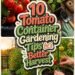 tomato gardening success tips