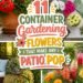 vibrant patio flower options