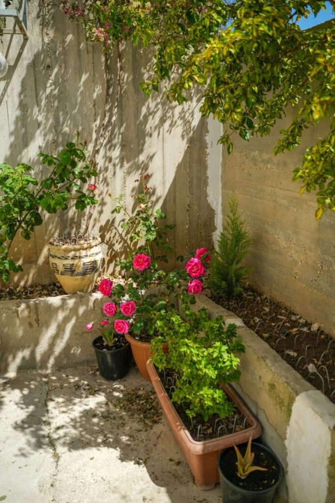 Strip the corner back to bare ground