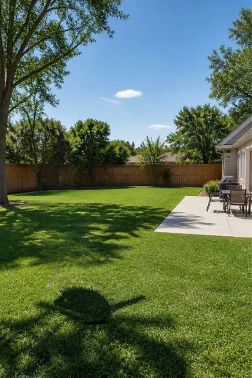 Pick the Best Spot in Your Backyard for Your Canopy