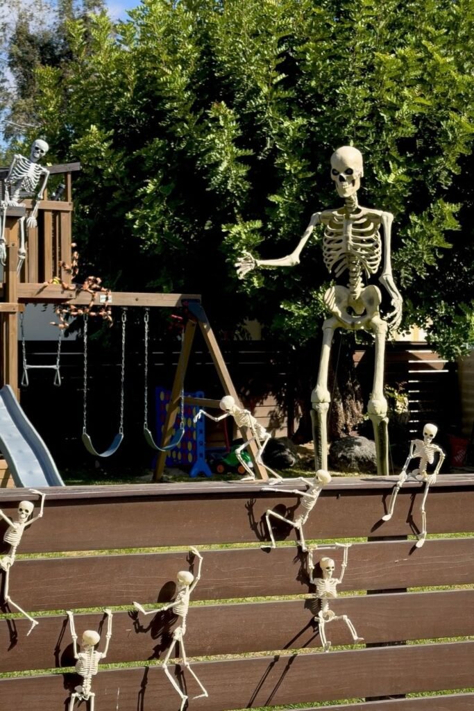 Create a Skeleton Playground Takeover