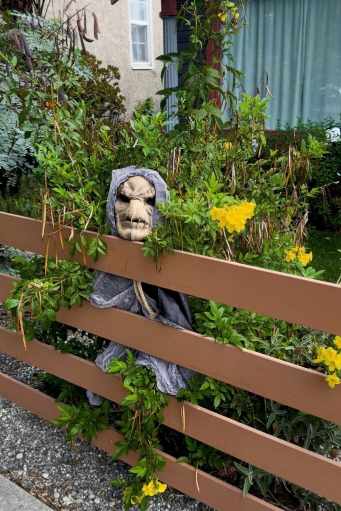 Hide a Hooded Face Inside the Garden