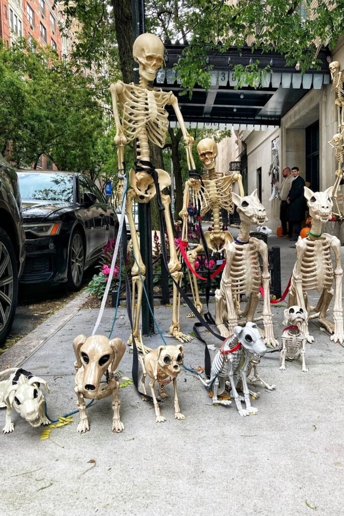 Make a Skeleton Dog Walking Scene