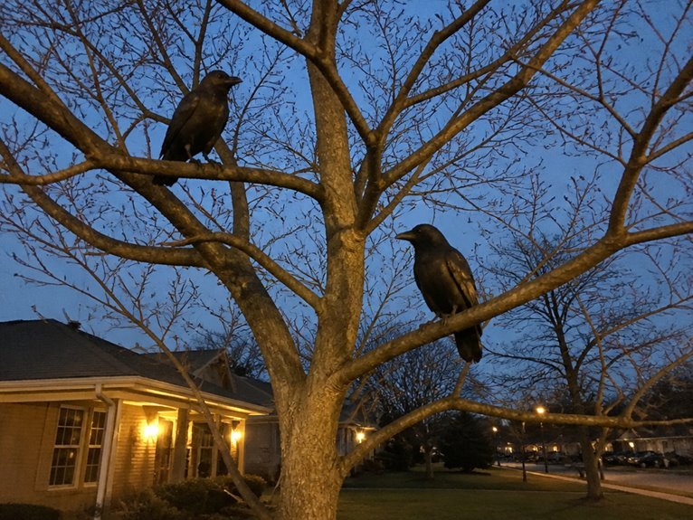 decorative ravens for halloween