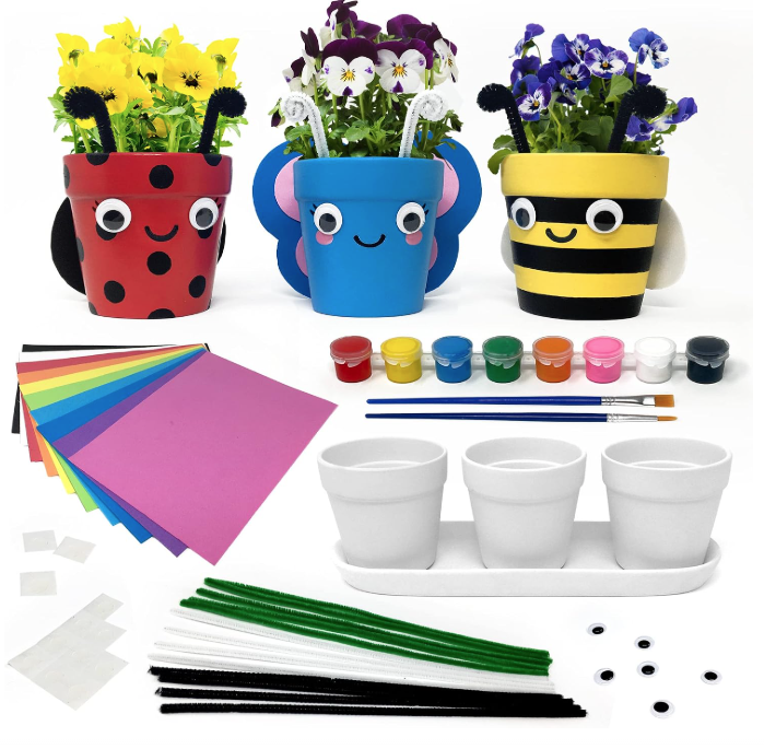Painted Flower Pot with a Plant