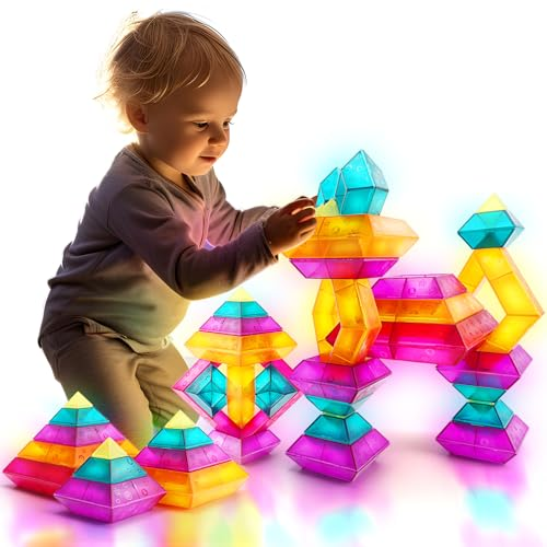 Building Blocks or STEM Toy